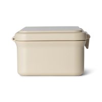 Citron Rectangle Lunchbox Ballerina