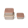 Citron Stainless Steel Stackable Lunchbox Ballerina 3pcs