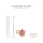 Citron Insulated Water Bottle Cherry 250ml