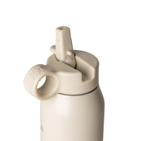 Citron Insulated Water Bottle Vehicles 350ml