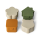 Citron Silikon Lunchbox Organizers 4er Set Caramel Green