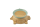 Citron Bamboo Bowl Set Dino Green