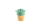 Citron Bamboo Cup 180 ml Green