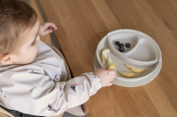 Citron Silicone Plate Divider Grey