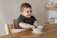 Citron Silicone Bowl Suction Grey