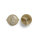 Citron Formula Dispenser Vehicles