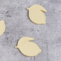 Citron Ice Pack Set 3 pcs Dino