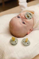 BIBS Nuggi Try-it Colour Nuggis Sage_0-6M_3er Pack