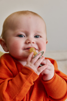 BIBS Nuggi Try-it Colour Nuggis Sage_0-6M_3er Pack