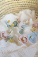 BIBS Sucette Try-it Collection Sage_ 0-6M_4 pièces