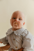 BIBS Try-it Colour Nuggis Ivory_Blush_Woodchuck_Blossom _0-6m_4er Pack