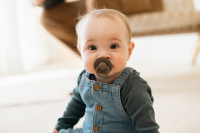 BIBS Try-it Colour Sucettes Ivory_Sand_Vanilla_Dark Oak_0-6m_4 pièces