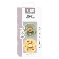 BIBS Studio Colour Ladybug 2 PACK Latex_Round_0-6m_Sage Mix