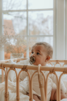 BIBS Pacifier Boheme 2 PACK Latex_Round_0-6m_Vanilla_Dark Oak