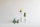BIBS Baby Bottle Anti Colic Latex 150 ml Slow Flow Sage