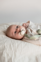 BIBS Nuggi Clip Ribbon Sage