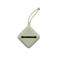 BIBS Nuggi Case Sage