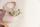 BIBS Bib Bavoir Blush