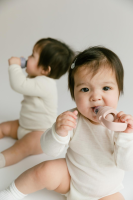 BIBS Baby Feeder Blush
