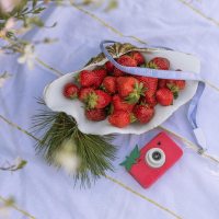 Hoppstar Rookie Kids Digital Kamera 3 + strawbella
