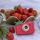 Hoppstar Rookie Kids Digital Kamera 3 + strawbella