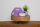 Hoppstar Bag Midi blossom