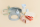 BIBS Sippy Cup Spout Silicone 150 ml Sage