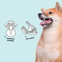 Fürree Dog Zahnbürste + Dental Powder Sample 2g