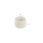 Citron Stainless Steel Food Jar 250ml Blue Dino
