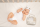 Nuvita Kit de soin pour bébé avec thermometre beige