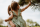 Tickless ECO Baby & Kid tick repellent