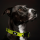 TICKLESS & Julius-K9 Anti Zecken Halsband neon