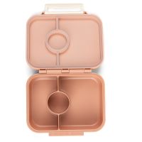 Citron Snackbox Mini Tritan Pink