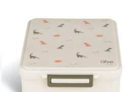 Dino – Bild 2