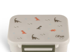 Dino – Bild 2